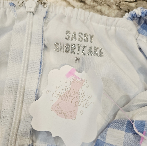 Blue Gingham Ruffle Mini Dress - Picture 7 of 11